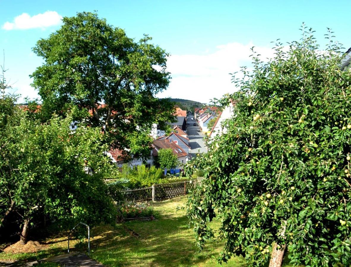 Frankenau Fewo Kellerwald Apartment Exterior photo